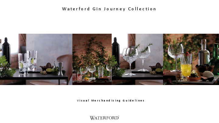 0548 Wf Gin Journey VM Guideline