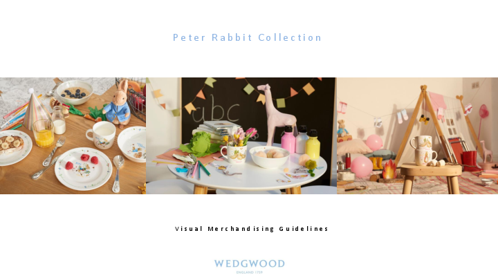 0027 WW Peter Rabbit VM Guideline